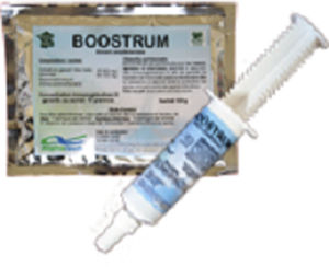 ���������� ��������� ��� ����� BOOSTRUM ��� ��� ��� ������� �� ��������
