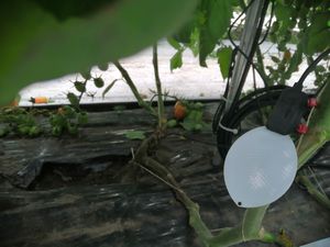����������� ����������� ��� ���������� ������� xFarm ��� ���������� ��� �������� ��� �������