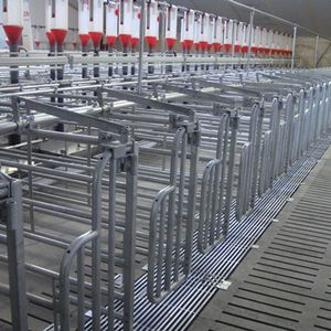 Vereijken Hooijer B.V. (Pro Dromi�) : �������������� -