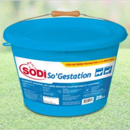 ������� ��� �������� �������� ����� SodiSo'Gestation ��� ��� � ��������������� � ����������