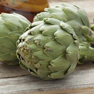 ������������ ������ ������ ����� Delicata