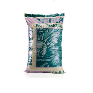 Canna : ������ � ������ ������� -