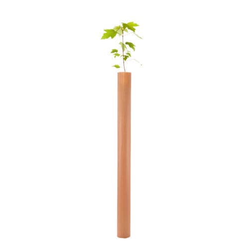 ������ ��� ������� ��� ����������������� ����� Nature� � ������� 100% ����������������