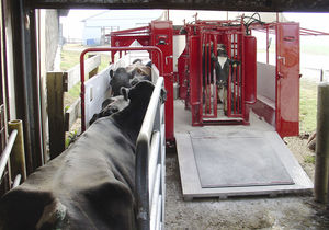 Comfort Hoof Care : �������������� -