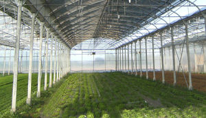 Barre : �������������������� ��������� -