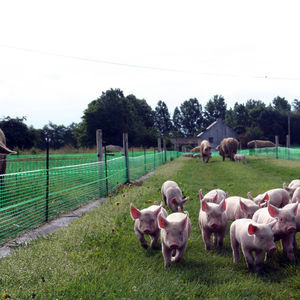 ������ ��� ������ �� ������ ��� ����������� ������������