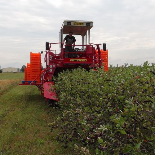 ��������� ������ ��� ������ ��������� VICTOR - (ARONIA) ��� ������� ���������� 1����