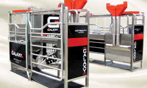 AMS Galaxy USA : �������������� -