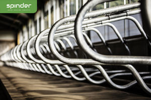 Spinder Dairy Housing Concepts : �������������� -