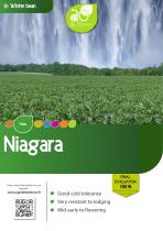 ���������� ������ ������� ����� NIAGARA ������ ���������������� ���������� � ���������
