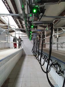 POLANES Ltd. : �������������� -