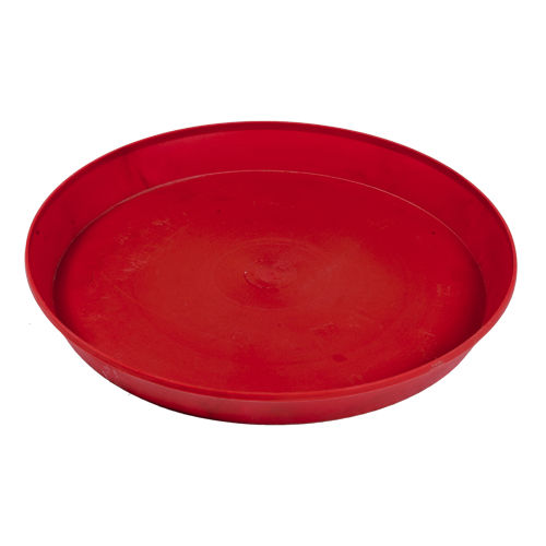 ������� ��� ��������� Plato codornices ��� ������ ��� ������ ��� ���
