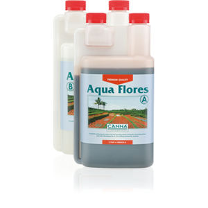 Canna : ������ � ������ ������� -