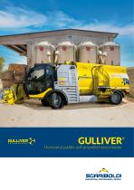�������������� �������� ��������� GULLIVER ��������� � ������� ���������� ������� ����