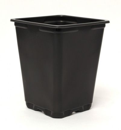 ������ �� �������� 2 Quart ���������� ������