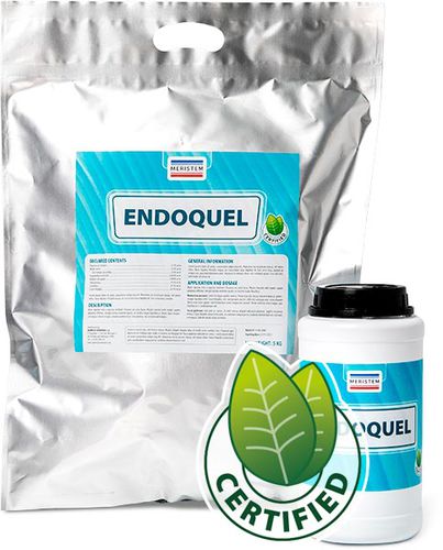 ������������ ��������� Endoquel � ��������������� ������ ���������� ������� �������
