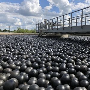 �������� �������� ��� ����������� ������� ������� ��� Bird Ball� ����-�� ��� �������������� ��������� ��� �������������� ����������� ����������