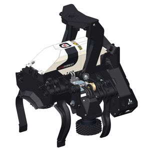 AFM-Forest Ltd : ������������������� ������� -