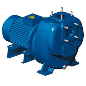 DAGSO Srl : �������������������� ��������� -