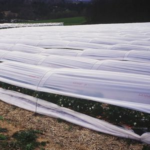 ������ ��� ������� OPALIN PRO ����������� ������