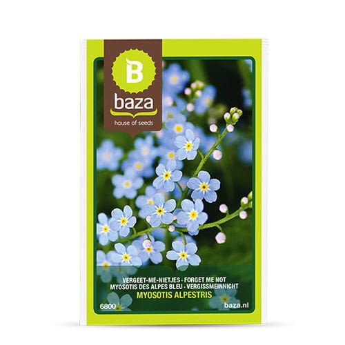 ������� ������ ������ Myosotis des Alpes ������ ����� ��� ������