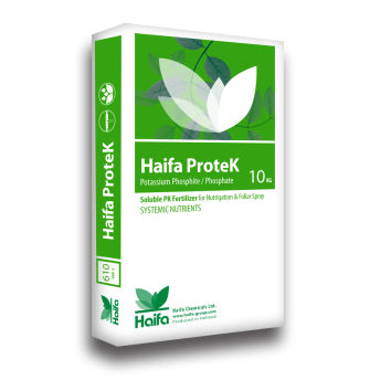 ����������� ��������� ProteK� Total ����� PK � ����� �������