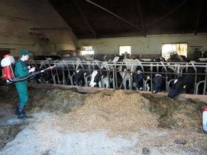 ������������ ��������� � ��������������� ������� ��������