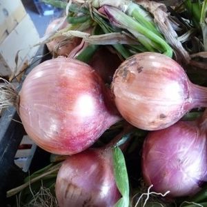 ������ ������ ������� 326232 ������������ ������ ����������
