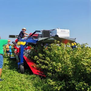 ��������� ������ ��� ������ JAREK 5R ��� ���� ��������� 1����