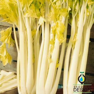��������� ������ ��������� Golden Self Blanching