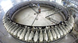 Dairymaster : �������������� -