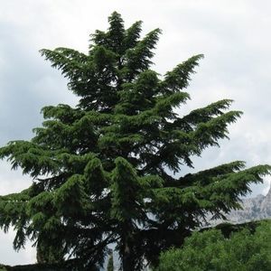 ������� ������ ������ 18164 ����� ������ ��� ���� ��� ����������� �������