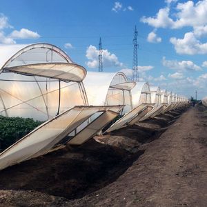������ ��� ������� Safe-D �� �������� ����� �������