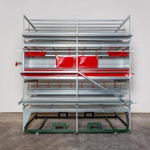 Specht � Ten Elsen GmbH & Co KG : �������������������� ��������� -