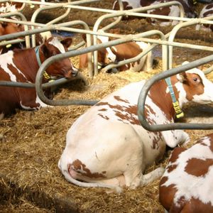FARMTEC a.s. : �������������� -