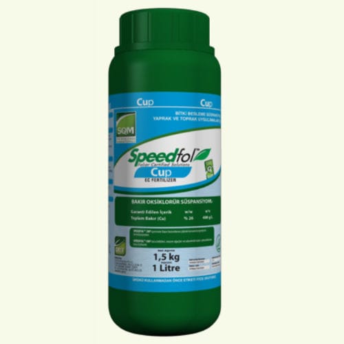 ������������ ��������� Speedfol Cup � ��������������� ������� ����� ��������