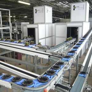 WPS : �������������������� ��������� -