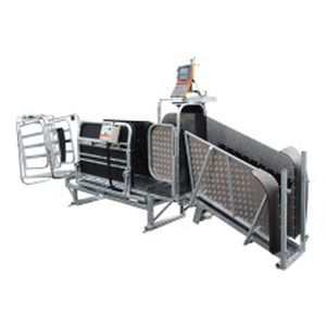 ������ ��� �������� ��� ��� ���� Auto Weigh Sheep Handler �������������� � �������� �����������