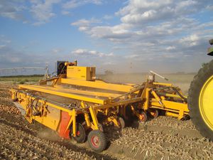 Samon bv : �������������������� ������ -
