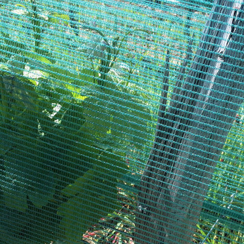 ����� ��� ��������� GRAPE PROTECT ������������� ��� ������ �� ����� �� ����
