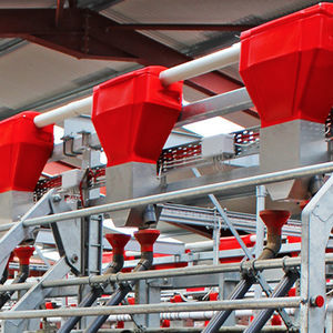 ������������ ��� ��������� ��� ����� ����������� ����������� ��� ���������� � ��������� ��� �����