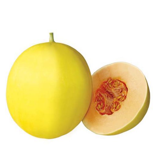 ���������� ������ ���� Uranus F1 ��������� ������