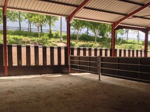 Technibelt : �������������� -