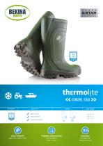 �������������������� ���� Thermolite � �������� �������� ������������� �� �����������
