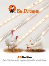 ��������� ��� ����� FlexLED bulb LED ����������� ��� ����������� ������������