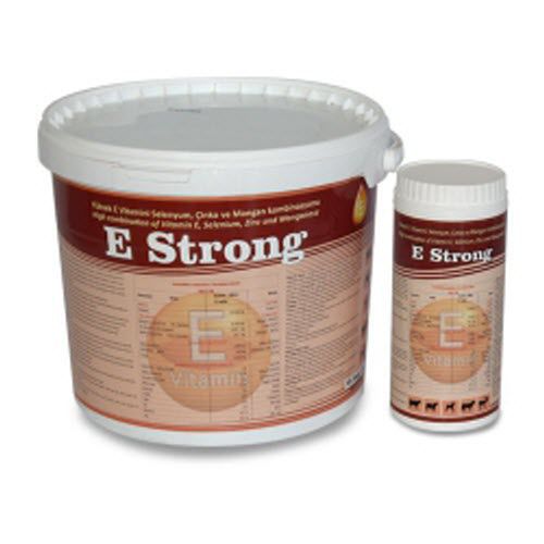 ������� �������� ������������ E Strong ��� �������� �������� ����� ��� ���� ��� ���