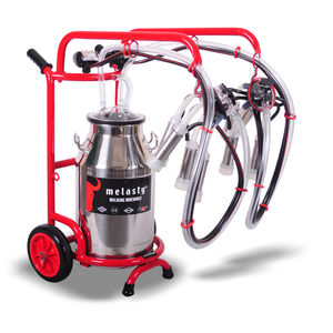 ����� ��� ������ �� �������� 1 AS � �������