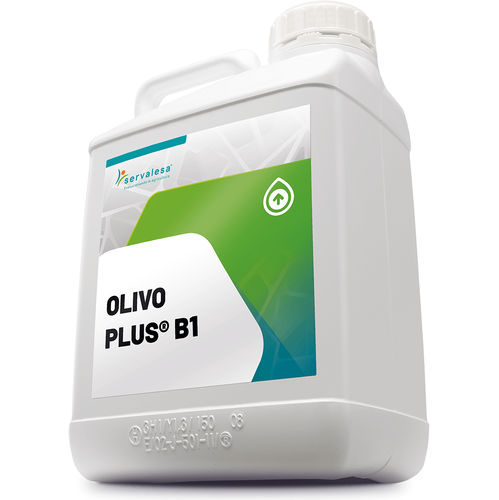 ������������� � ��������������� OLIVO PLUS� B1 ������� ��������� ������� ������ ������ ����������