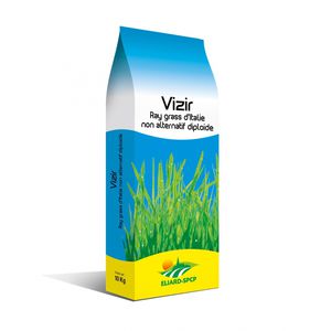 ���� ������� Scapino ��� ������� �������� ���������������� ���������