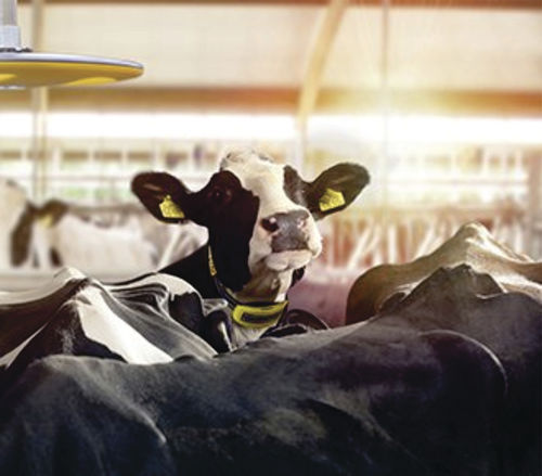 ������� ���������� ��� ����� Nedap COWcontrol � ��� ����� ��������� �������� �����